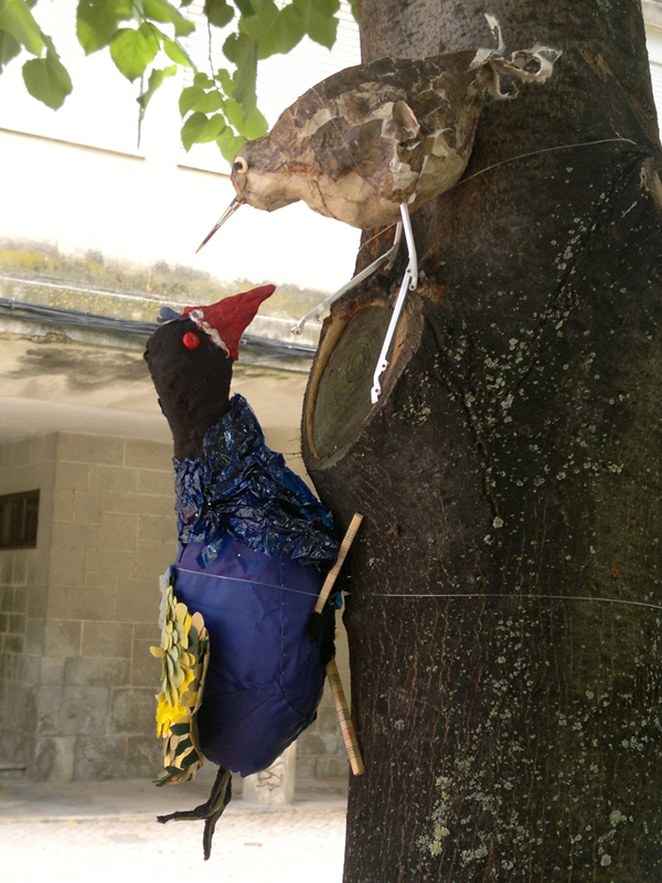 600_allen's gallinule in conversation with the common sandpiper