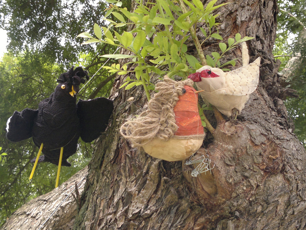 600_birds whispering