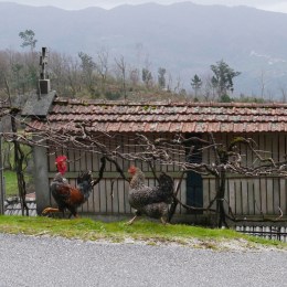 guardadores-de-campo