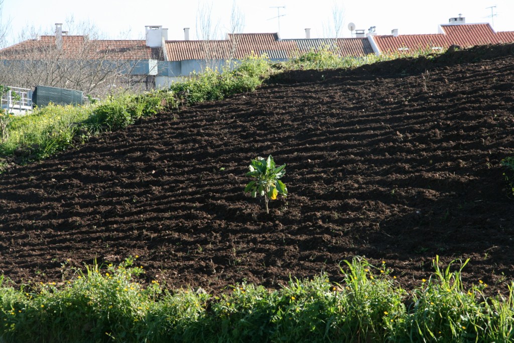 1200_110220_CovaDaMoura