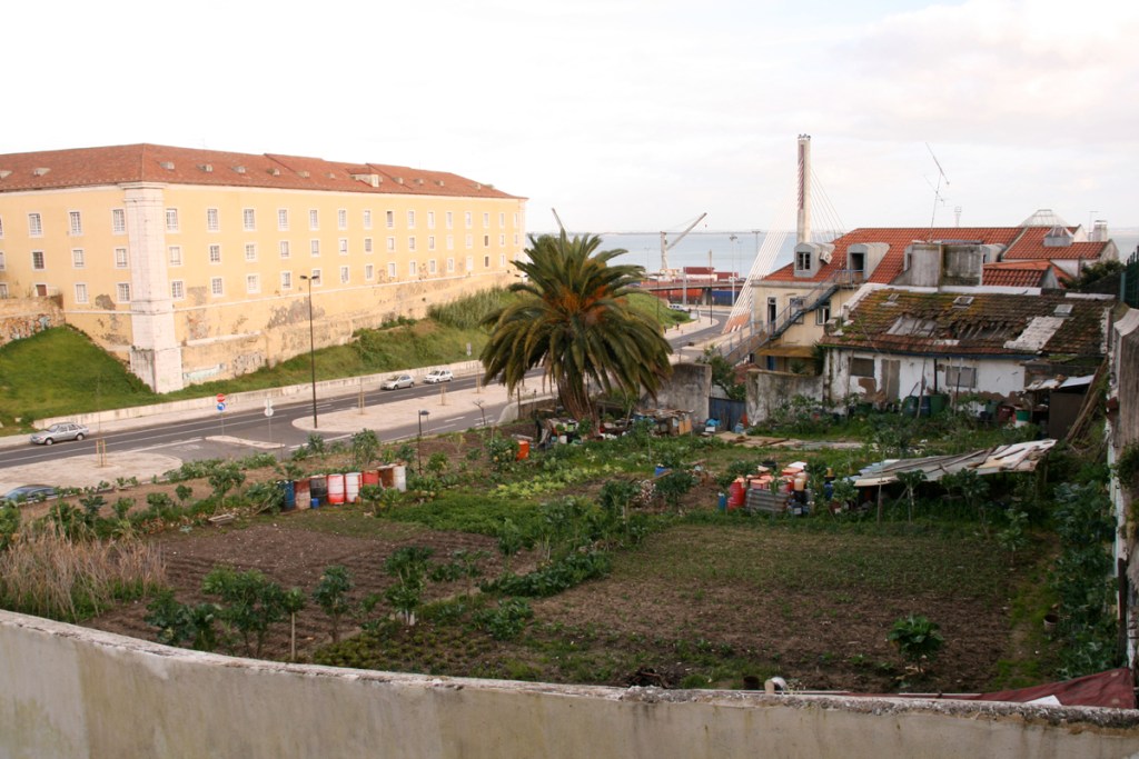 1200_110220_MouzinhoDeAlbuquerque