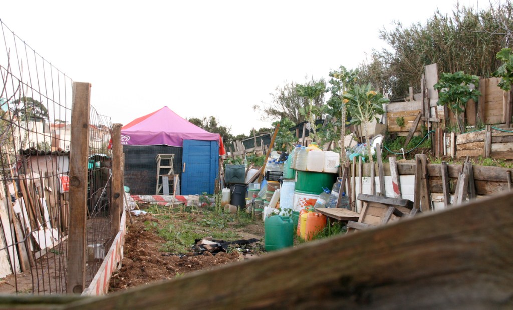 1200_110220_MouzinhoDeAlbuquerque2