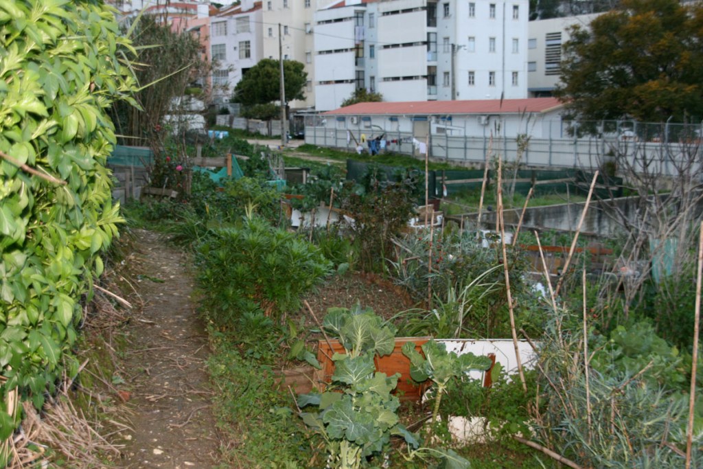 1200_110220_MouzinhoDeAlbuquerque6