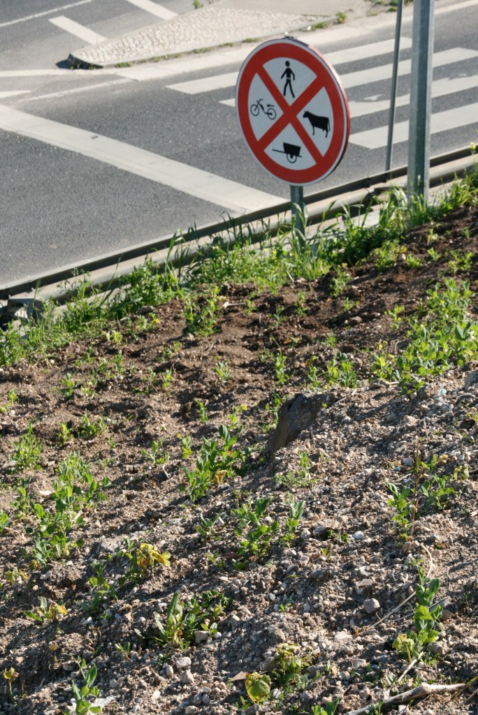 600_110220_CovaDaMoura3